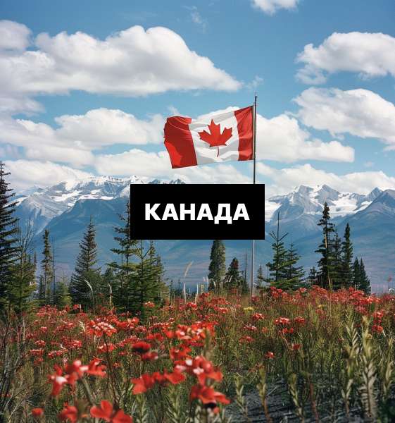 Ltd (сокращенное от Limited), или общество с ограниченной ответственностью — это форма организации бизнеса, где каждый владелец или акционер несет ответственность в пределах собственных инвестиций в компанию. Такая форма присуща в первую очередь регионам с англоязычным правом, включая Кипр, Гонконг, Великобританию, Канаду, Шотландию, Австралию и Новую Зеландию.