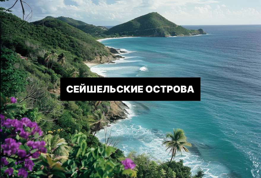 Международная бизнес-компания (МБК) или International Business Company (IBC) — это форма организации компании, которая широко используется в международном бизнесе.